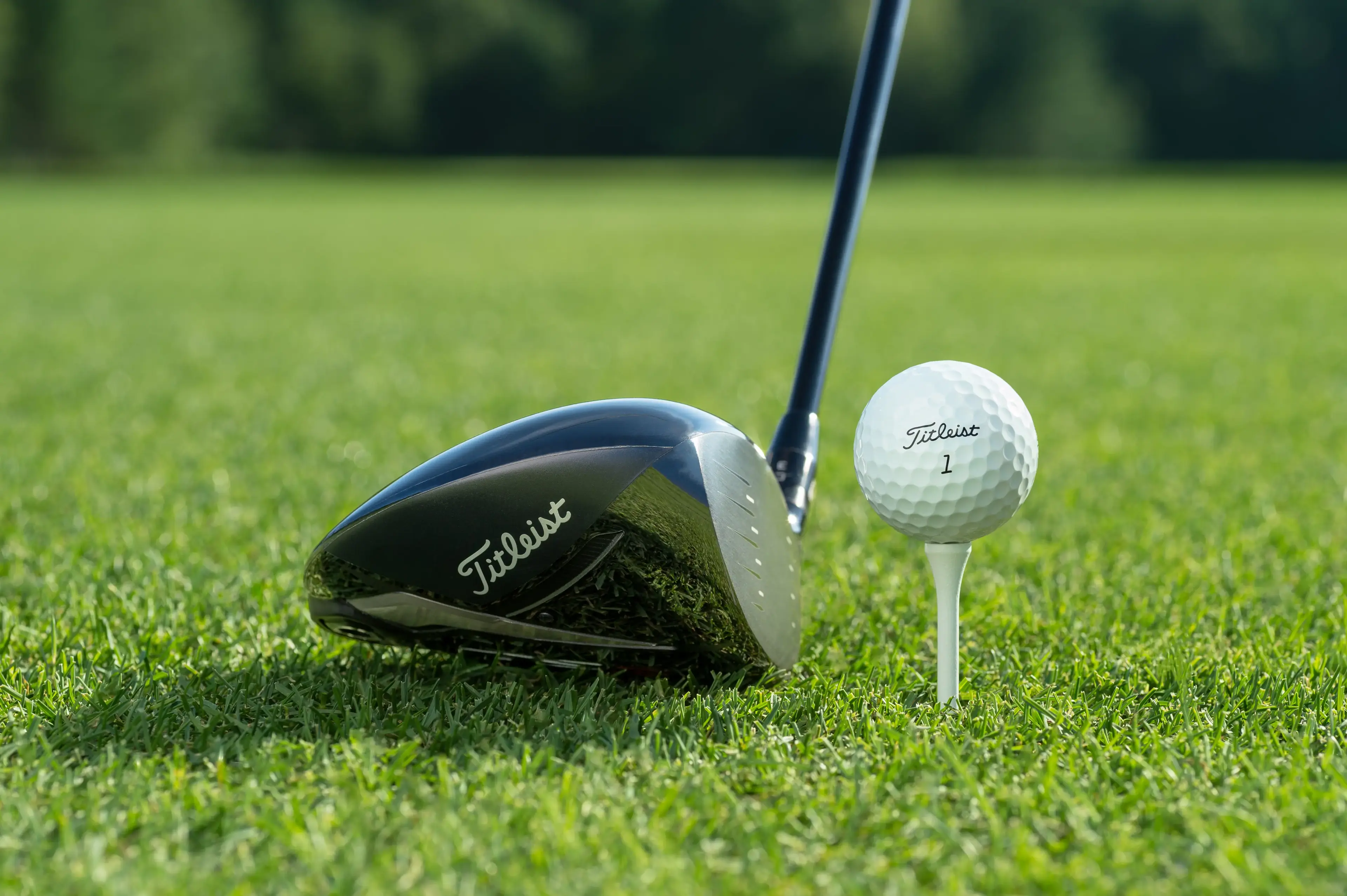 2019_pro-v1_with-driver.jpg.webp
